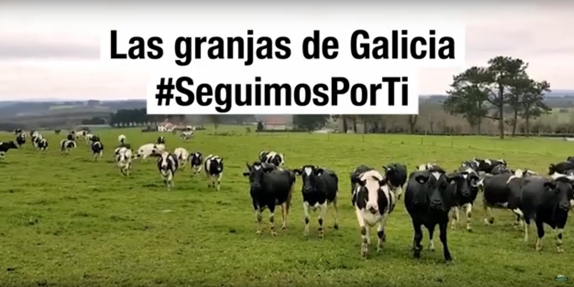 ¡Seguimos por ti!